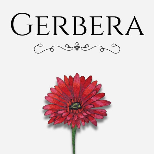 Embroidery Pattern: Gerbera